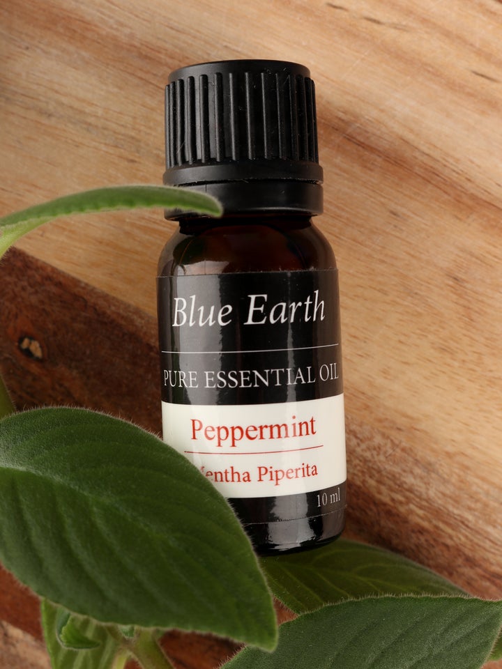 Lifestyle Wellness Essential Oils & Burners Essential Oil