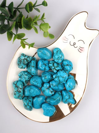 Blue Howlite - Tumbled