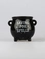 cauldron-money-box-one-colour-image-2-69087.jpg
