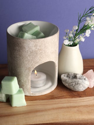 Coconut & Lime Wax Melts
