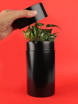 Cosmic Vacuum Jar 1350mL