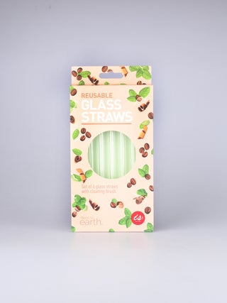 Glass Straws Set of 6