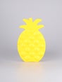 ice-pack-pineapple-one-colour-image-2-48800.jpg