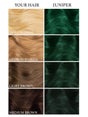lunar-tides-hair-dye-juniper-green-image-3-68407.jpg