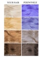 lunar-tides-hair-dye-perwinkle-image-3-68407.jpg
