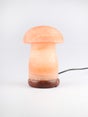 salt-lamp-mushroom-shape-one-colour-image-2-68493.jpg