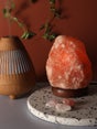 salt-lamp-natural-2-3-kg-one-colour-image-1-67206.jpg