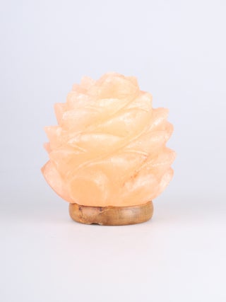 Salt Lamp Succulent Shape