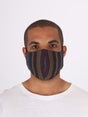 stripe-cotton-face-mask-charcoal-image-2-70061.jpg
